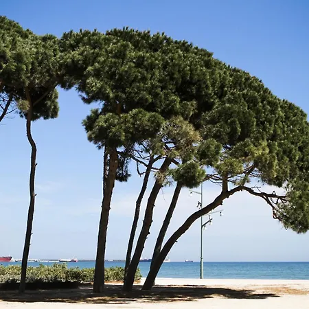 Tecavi Ii Atic Apartamento